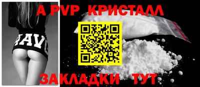 2c-b Кингисепп