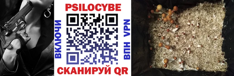 купить  сайты  мега маркетплейс  Псилоцибиновые грибы прущие грибы  Кудрово 