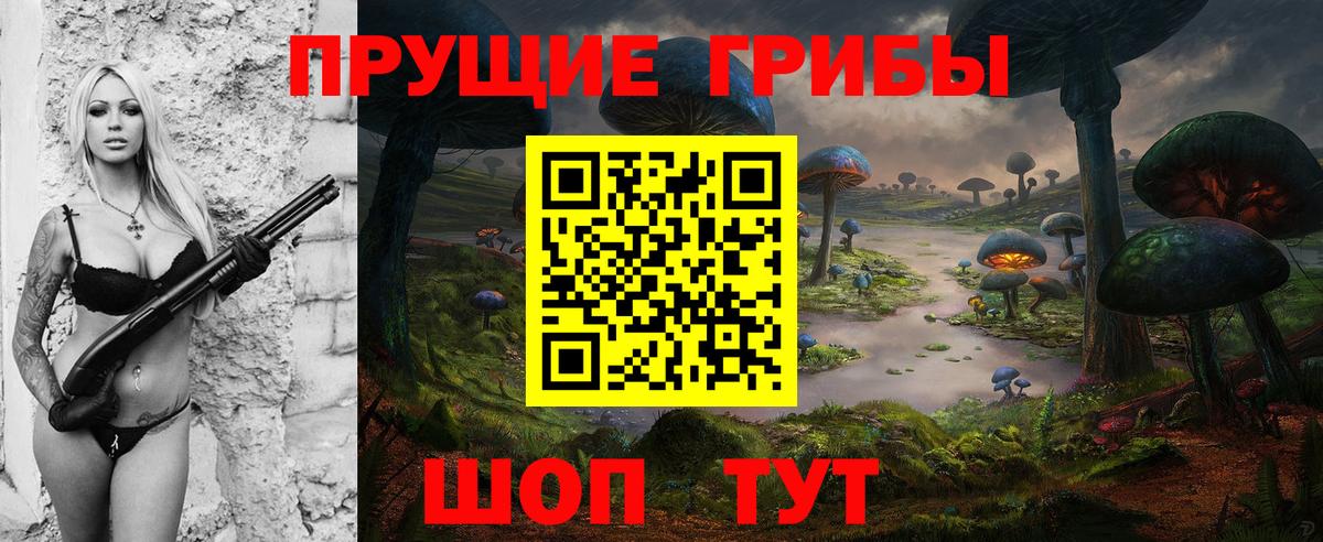 Псилоцибиновые грибы ЛСД  Вход с VPN  закладки  Псилоцибиновые грибы ЛСД  Кудрово 